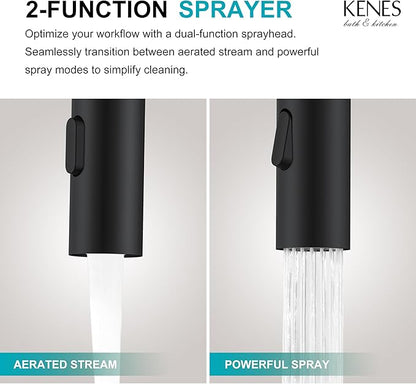 KENES Matte Black Tall Bathroom Faucet with Pull Out Sprayer, Pull Down Vessel Sink Faucet 1 Hole, Single Handle High Vanity Faucet with Pop Up Drain & Supply Lines, LJ-9065A-2