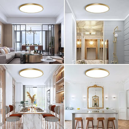 15.7 Inch Gold Flush Mount Ceiling Light Fixture, 5000K Daylight White, 32W 3800LM Bright LED Ceiling Light, Flat Round Light Fixtures Flush Mount for Bedrooms Living Rooms