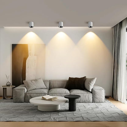 JAYMP Modern LED Ceiling Spotlight 3000K Dimmable 24W White Surface Mount Cylinder Down Light for Living Room Hallway Laundry Room
