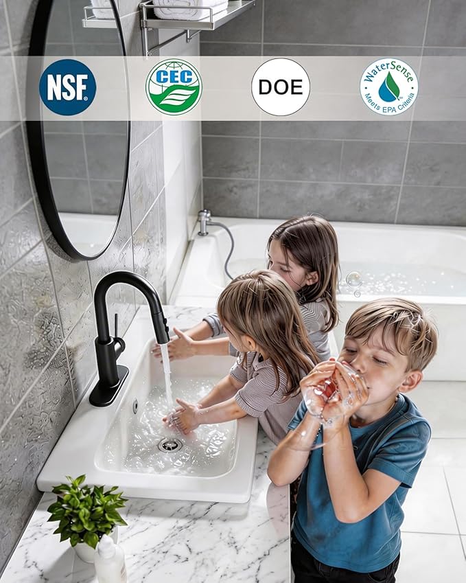 Fransiton Bathroom Faucets with Pull Down Sprayer, Bar Sink Faucet Single Hole for Kitchen Campers with Pop-Up Drain Hose, Suitable for Farmhouse Vanity Lavatory