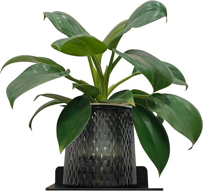 Small Floating Shelf – 6 Inch, Black Metal Wall Mount, Floating Wall Shelves for Router, Camera, Plants, Bathroom, Kitchen, Office Storage