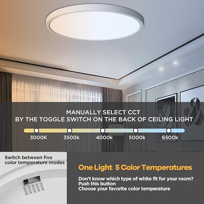 TALOYA Dimmable Flush Mount Ceiling Light,15.8Inch,24W,5 CCT,LED Ceiling Light Fixture for Bedroom,Kitchen,Living Room,White