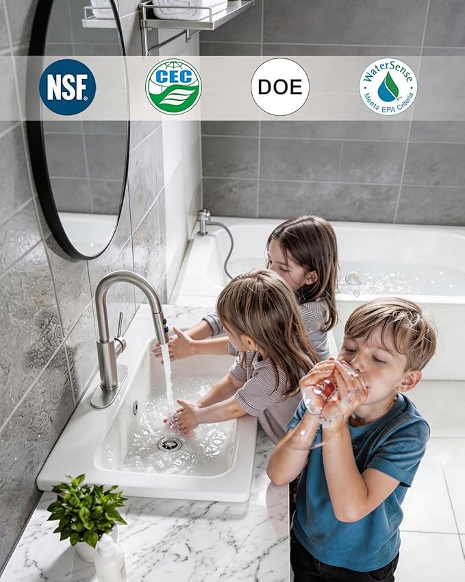 Fransiton Bathroom Faucets with Pull Down Sprayer, Bar Sink Faucet Single Hole for Kitchen Campers with Pop-Up Drain Hose, Suitable for Farmhouse Vanity Lavatory