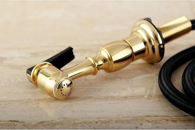 Kingston Brass Gourmetier KBSPR2 Kitchen Faucet Sprayer with Hose, Polished Brass