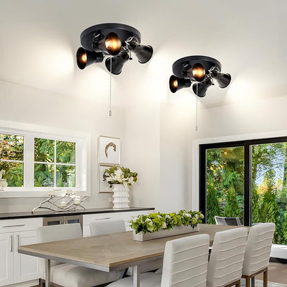 SEEBLEN 4-Light Industrial Track Lighting with Pull Chain On/Off Switch, Adjustable Round Kitchen Ceiling Light, Morden Black Flush Mount Directional Light for Kitchen, Hallway, Dining Room.