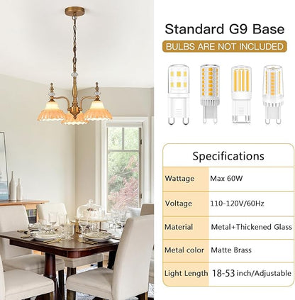 HDDFL Chandelier 3 Lights Chandeliers Lamp Modern Pendant Lighting Fixtures for Dining Room Entryway Living Room Bedrooms Kitchen Brown and Brass