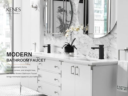 KENES Matte Black Single Handle Bathroom Sink Faucet, Stainless Steel Vanity Faucet for Bathroom Sink, with Pop Up Drain Stopper & Water Supply Hoses LJ-9031-2