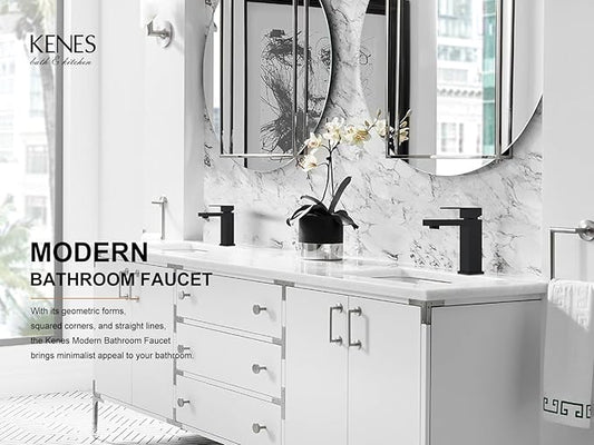 KENES Matte Black Single Handle Bathroom Sink Faucet, Stainless Steel Vanity Faucet for Bathroom Sink, with Pop Up Drain Stopper & Water Supply Hoses LJ-9031-2
