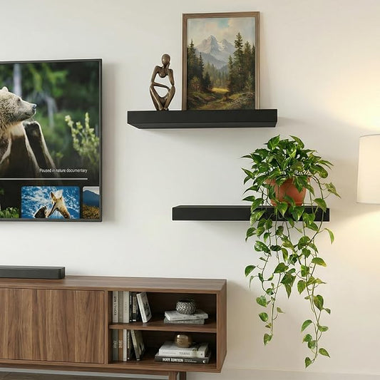 INHABIT UNION 17.5in Floating Shelves for Wall, Wall Mounted Shelves for Decor Storage Set of 2, Floating Shelf for Bedroom, Bathroom, Living Room and Kitchen（Black）