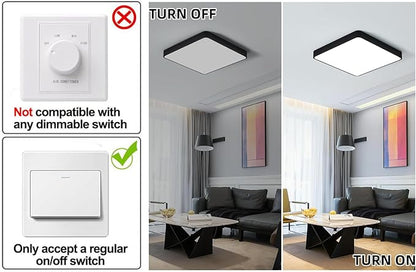 Ganeed 19.6 inch LED Ceiling Light, 39W Black LED Day White 6500K Square Flush Mount Ceiling Lamps, Energy Saving Light Fixture for Office Bedroom Kitchen Hallway Stairways