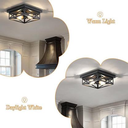 Black Rustic Metal Flush Mount Ceiling Light Fixture, 2-Light Industrial Farmhouse Hallway Light Fixtures, Metal Cage Closed to Ceiling Mounted Lights for Bedroom Kitchen Ceiling Lights