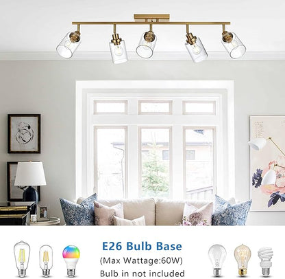 MELUCEE 5-Light Track Lighting Kit Brass Semi Flush Mount Ceiling Light Fixture with 5 Rotatable Light Heads, 37 Inch Modern Accent Lighting for Foyer Art Wall Kitchen, Clear Glass Shade