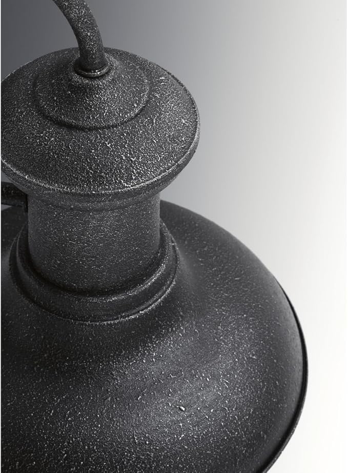 Progress Lighting P5722-71 Brookside Outdoor, 10-Inch Width x 10-3/4-Inch Height, Black
