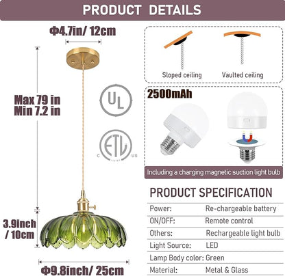Battery Operated Pendant Light,Vintage Light Fixtures RGB Rechargeable Light Bulb 2500mAh 9.8in with Remote Control Wireless Adjustable Chandelier for Kitchen Island Hallway 1 Light