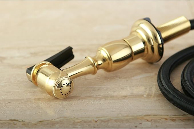 Kingston Brass Gourmetier KBSPR2 Kitchen Faucet Sprayer with Hose, Polished Brass
