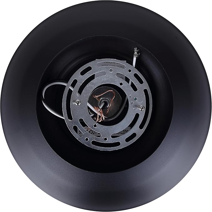 Canarm Valec 1-Light Outdoor Ceiling Light, 14-Inch Black Flush Mount Durable Weather-Resistant Lighting for Porch, Garage and Entryway