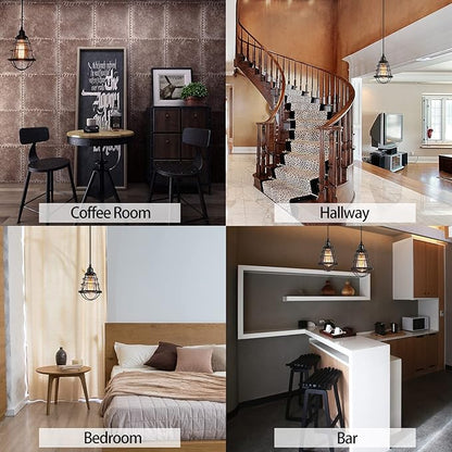 Asnxcju Industrial Plug in Pendant Light Vintage Hanging Cage Pendant Lighting E26 E27 Mini Pendant Light Edison Plug in Light Fixture On/Off Switch 2 Pack