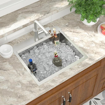 Mocoloo 21 Inch Bar Sink with Faucet, 16 Gauge Drop in Workstation Sink - 21x20x9" Stainless Steel Single Bowl Small Kitchen Sink with Pull-Out Faucet