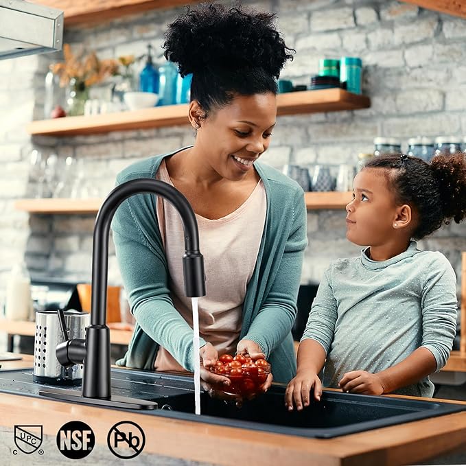 Matte Black Kitchen Faucet with Pull Down Sprayer, High Arc Single Handle Stainless Steel 1 or 3 Hole Faucet for Kitchen Sink, Farmhouse, RV, Laundry, Bar, Outdoor