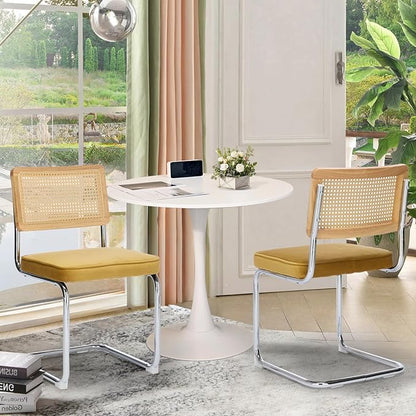 Rattan Back Dining Chairs Set of 2, Breuer Design Modern Upholstered Dining Room Chairs with Steel Frame for Dining Room, Kitchen Island,Velvet(Gold)