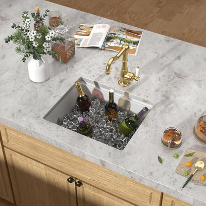 21"x18" Undermount Bar Sink Workstation - 21 Inch Granite Composite White Quartz Classic Single Bowl Under Counter Small Prep Rv Sink All-In One #TLGU-139
