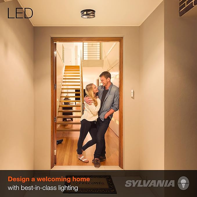 Sylvania Wellesley Vintage Drum Light Fixture, Antique Black Metal and Seeded Glass, 2 Dimmable 60W LED A19 Bulbs Included (60063)