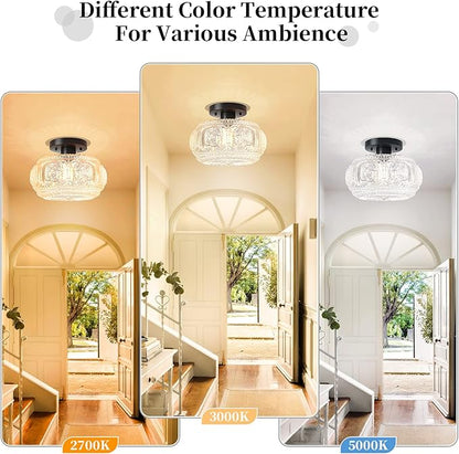 Semi Flush Mount Ceiling Light, Globe Glass Ceiling Light Fixture, Black Modern Lighting for Hallway Porch Corridor Kitchen Bedroom, Bulb Not Included