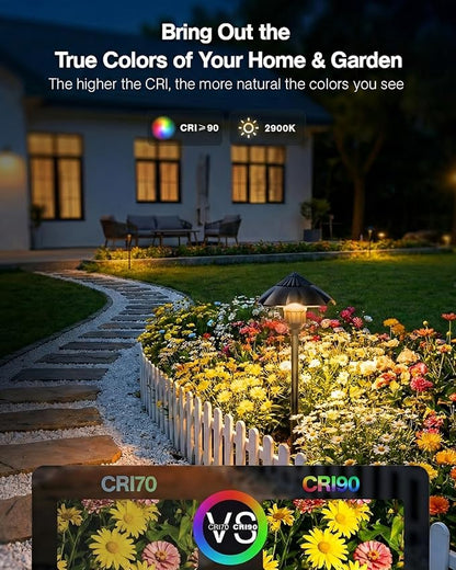 HIBOITEC Low Voltage Pathway Lights Wired 3W 12-24V 180LM 2900K LED Landscape Path Lighting Outdoor Waterproof Aluminum Landscape Lights for Yard Walkway Garden, 6-Pack