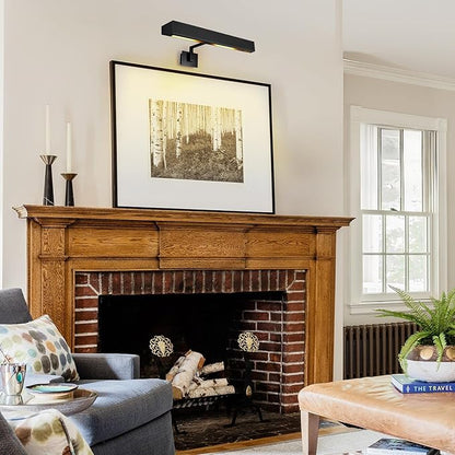 Hardwired Picture Lights for Wall 24in, Matte Black Bathroom Vanity Sconce over Mirror, Vintage Industrial Gooseneck Barn Light, Classic Art Lighting for Painting, Poster, Frame (Bulb Included)