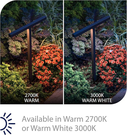 WAC Landscape Lighting, Balance LED 12V Path and Area Double Light 3000K Warm White Built-in LED in Bronze