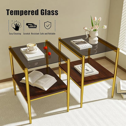 Set of 2 Glass End Table, 2-Layer Glass Living Room Table, Modern Tea Table Side Tables for Home Office Furniture