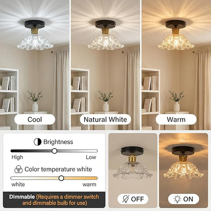 1-Light Vintage Semi Flush Mount Ceiling Light, Black and Gold Glass Shade Close to Ceiling Light Fixture, E26 Base Retro Lighting for Hallway Entryway Kitchen Bedroom