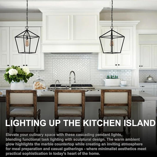 Kitchen Island Light RC Ceiling Light Fixture 1-Light Hanging Pendant Light for Kitchen Island Chandelier, Metal Cage Entryway Fixture with Adjustable Chain, Vintage Industrial