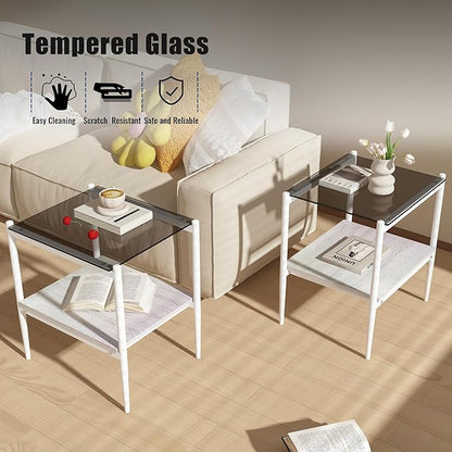 Set of 2 Glass End Table, 2-Layer Glass Living Room Table, Modern Tea Table Side Tables for Home Office Furniture