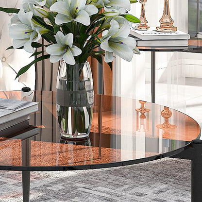 Round Tempered Glass Table 31.5 inch Large Circle Top Metal Frame Brown