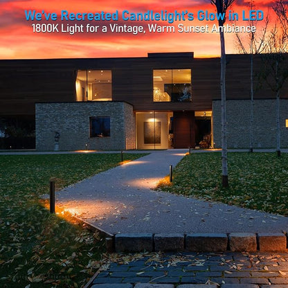 LEONLITE 5CCT Low Voltage Landscape Lights, 5W Anti-Glare LED Pathway Lights, Die-Casted Aluminum Housing, IP65 Waterproof for Outdoor Path Sidewalk Walkway, 1800K-5000K, ETL, Pack of 12