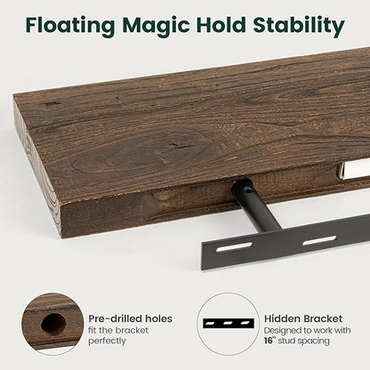 24 Inch Live Edge Floating Shelves, 8 Inch Deep Solid Elm Wood Wall Shelf, Heavy-Duty Wall Mounted Shelf with Invisible Brackets for Living Room, Bathroom, Kitchen, Set of 2, Walnut Color