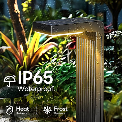 COXSENI Solar Pathway Lights Outdoor 6Pack, 2 Color in 1 Motion Sensor Walkway Lights 400LM with Warm/Cool White, 12H Lasting, IP65 Waterproof Solar Landscape Lighting for Garden, Yard
