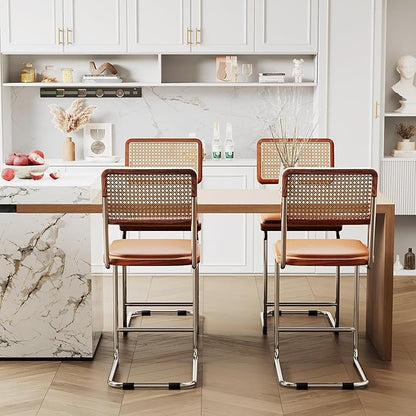 Alunaune 24inch Brown Rattan Barstools Set of 2, Upholstered Modern Counter Bar Height Stools with Metal Chrome Legs for Living Room