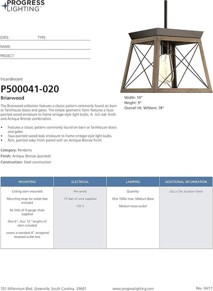 Briarwood Collection 1-Light Coastal Mini-Pendant Light Antique Bronze