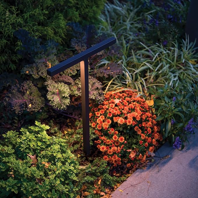 WAC Landscape Lighting, Balance LED 12V Path and Area Double Light 2700K Warm Built-in LED in Black
