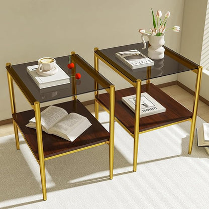 Set of 2 Glass End Table, 2-Layer Glass Living Room Table, Modern Tea Table Side Tables for Home Office Furniture