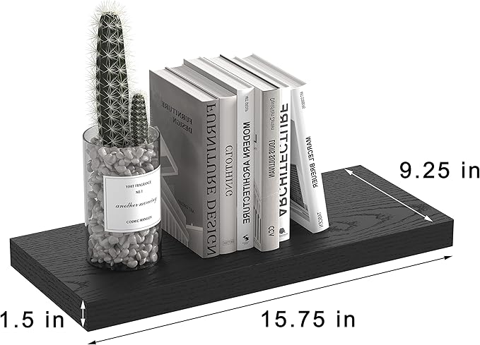 GREENDEW Floating Shelves Invisible Wall Mounted Set of 2, Retro Hanging Wall Decor Shelf 16 x 9 for Living Room, Bedroom, Bathroom, Kitchen (Black)