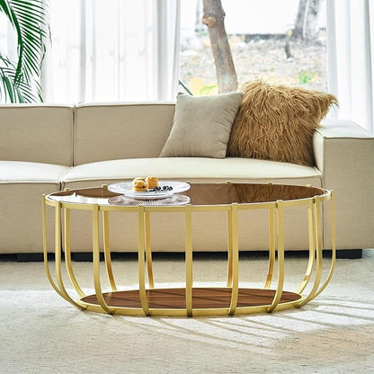 Saint Mossi Mid Century Modern Coffee Table, Glass Oavl Center Table for Living Room, Brown Glass Top and Walnut Shelf with Gold Finish Legs, D42xW23xH16