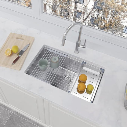 30 Inch Undermount Kitchen Sink 16 Gauge Stainless Steel Ledge Workstation Sink Round Corners Deep Single Bowl Kitchen Sinks with Accessories 30"x19"x10"