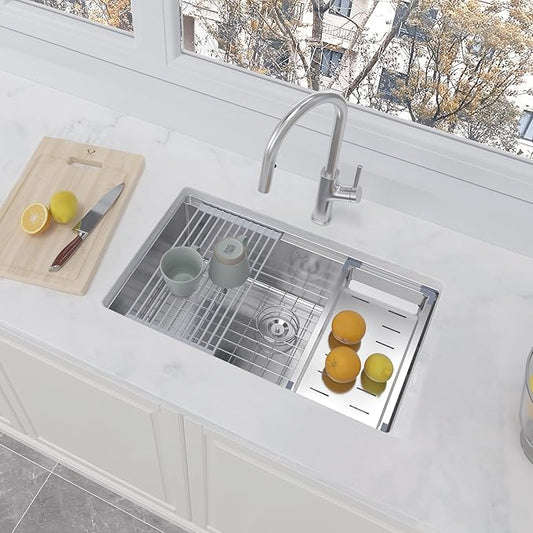 30 Inch Undermount Kitchen Sink 16 Gauge Stainless Steel Ledge Workstation Sink Round Corners Deep Single Bowl Kitchen Sinks with Accessories 30"x19"x10"