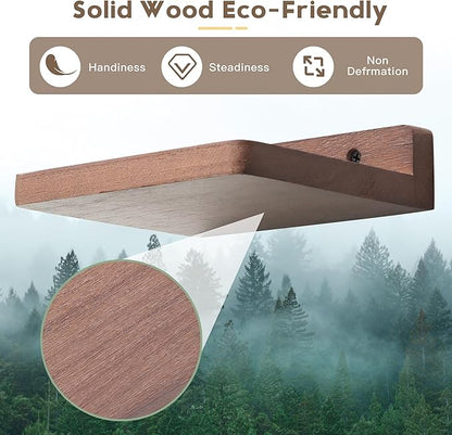 Small Floating Shelf, 5x6 Inch Display Ledges for Wall,Mini Shelves,Rustic Wood Shelf for Bedroom Living Room Bathroom Kitchen (3, Light Walnut)