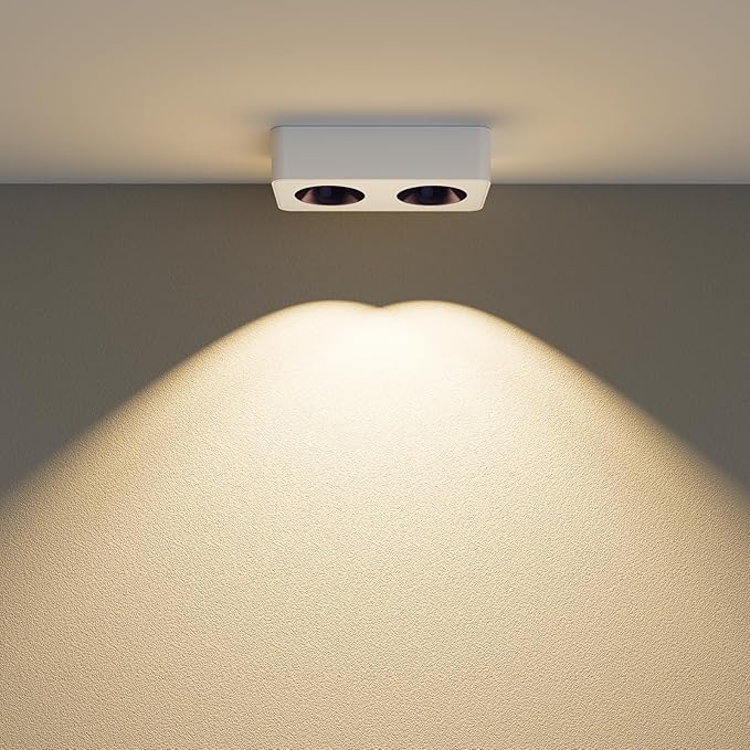 JAYMP Rectangular Modern LED Ceiling Spotlight 3000K Dimmable White Surface Mount Focus Down Light for Living Room Hallway Laundry Room (White, Double Lamp)