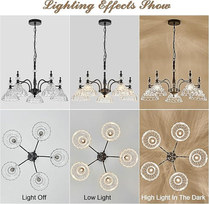 HDDFL Chandeliers Light Fixture 5 Lights Chandelier Lamp Modern Pendant Lighting Fixtures Hanging Lamps for Dining Room Kitchen Entryway Living Room Bedrooms Foyer Entrance