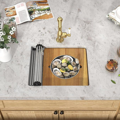 21"x18" Undermount Bar Sink Workstation - 21 Inch Granite Composite White Quartz Classic Single Bowl Under Counter Small Prep Rv Sink All-In One #TLGU-139